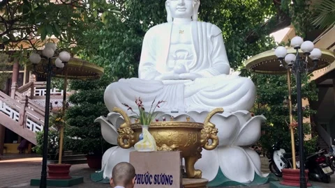 Buddha statue with bodhi tree behind in sunset Video stock 142675232