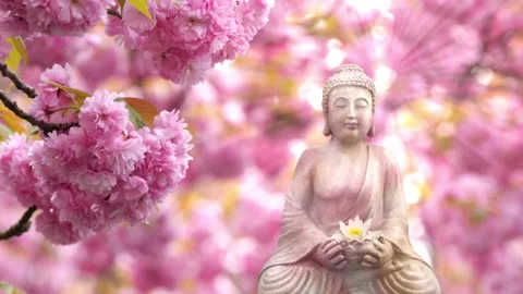 Buddha statue in cherry blossom spring garden Stock Footage 274130416