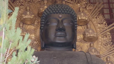 Buddha Statue Close-up Stock Footage 316074061
