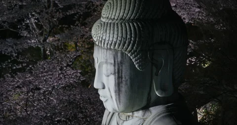 Buddha Statue Close-Up Profile Cherry Blossom Background Night Stock Footage 344698054