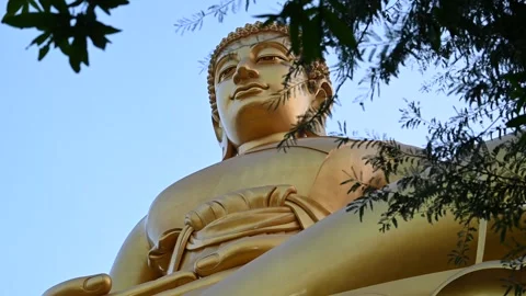 Buddha statue fills frame behind branches Video stock 338385878