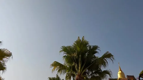 Buddha statue on floating island Stock Footage 268458501