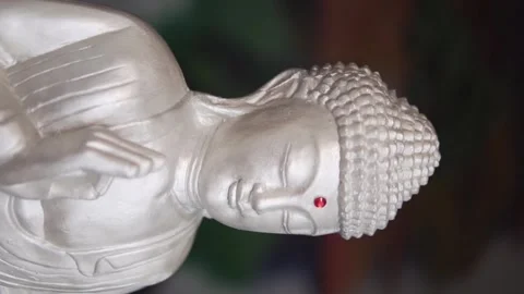 Buddha statue Stock Footage 246791039