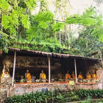 Buddha statue in the forest Stock Photos