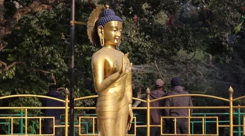 Buddha statue in the fountain Stock Footage 59181947