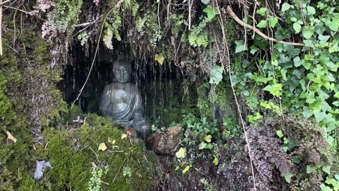 Buddha statue inside the green lush waterfall Stock-Footage 331672133