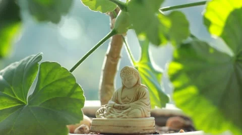 Buddha statue with leaves background Stock Footage 50610221