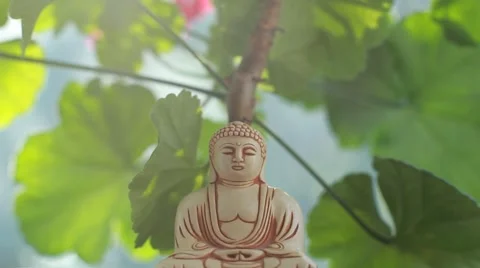 Buddha statue with leaves background Vidéo 50610233
