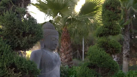 Buddha statue in lotus position at sunset in garden Stock Footage 272748041