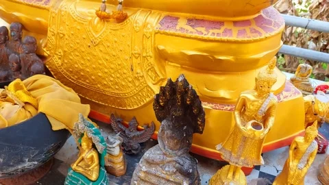 Buddha statue meditating Stock Footage 268594100