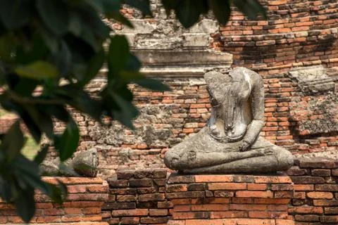 Buddha statue meditating under tree, Ayuthaya Stock Photos