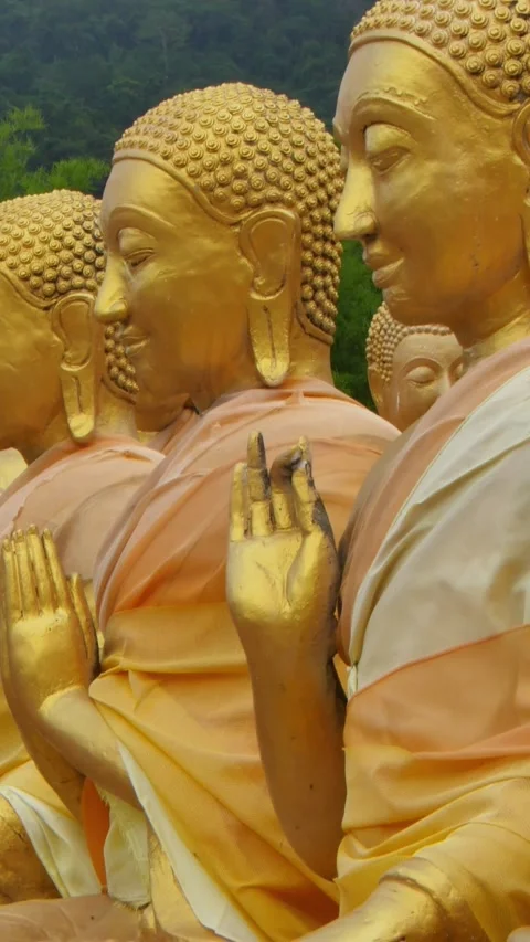 Buddha statue in meditation Video stock 326083021