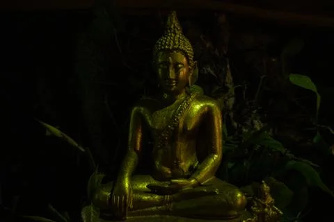 Buddha statue in the night Stock Photos