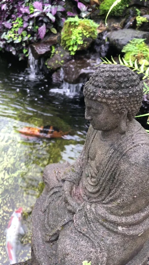 Buddha statue overlooking koi fish pond  動画素材 333694620