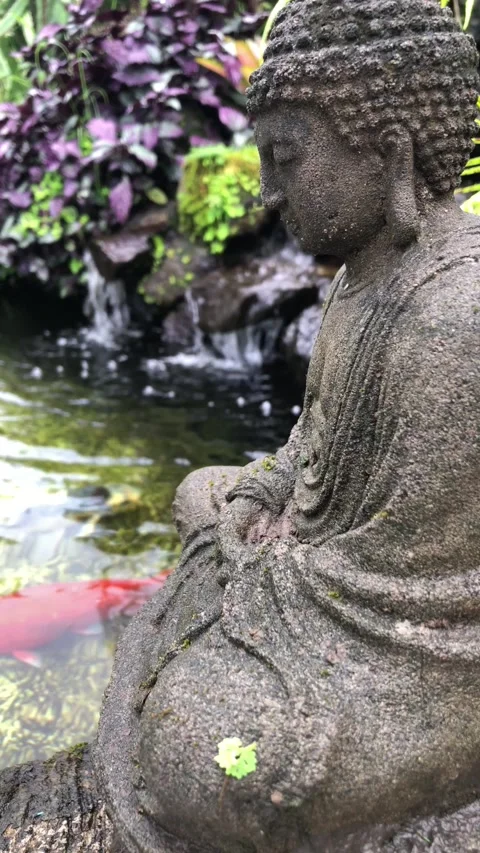 Buddha statue overlooking koi fish pond  Stockbeeldmateriaal 333694717