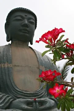 Buddha statue Stock Photos