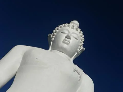 Buddha statue 库存照片