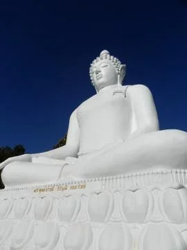 Buddha statue 库存照片