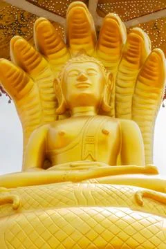 Buddha statue Stock Photos