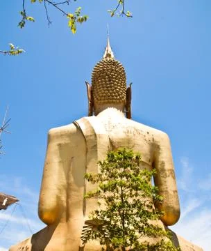 Buddha statue. Stock Photos