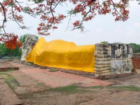The Buddha statue Stock Photos