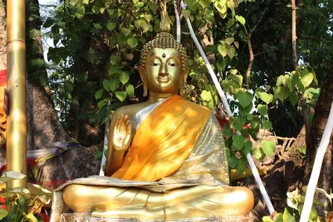 Buddha statue. Stock Photos