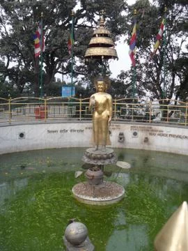 Buddha statue in the pool Stock Photos