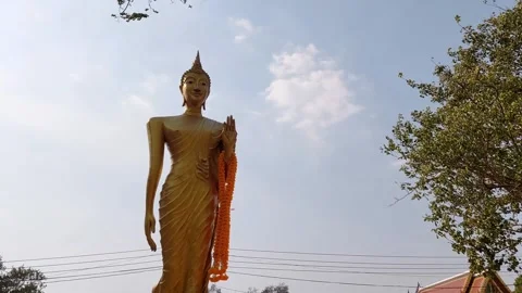 Buddha statue raising a hand Stock Footage 264132154