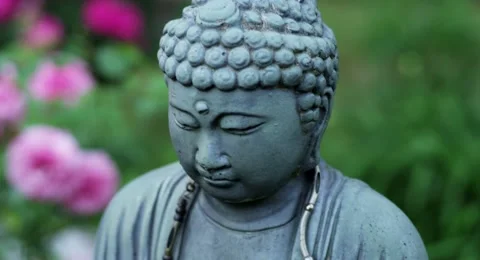 BUDDHA STATUE IN ROSE GARDEN 스톡 동영상 56691949