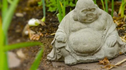 Buddha statue in Seattle p-patch - 1080p Stock-Footage 10914826