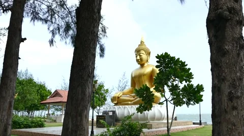 Buddha Statue Side Stock Footage 52717349