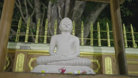 Buddha statue sits in lotus pose at night within temple grounds, surrounded by Stock Footage 265159142