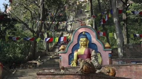 Buddha statue, stairs and monkey Stock Footage 59181870