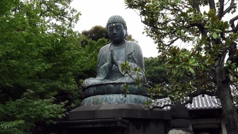 Buddha Statue Surrounded by Greenery Stock Footage 309622974