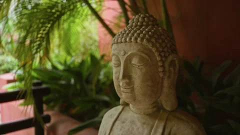 Buddha statue surrounded by lush tropical greenery at a serene resort, crea.. Video stock 311523523