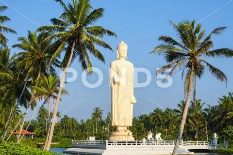 Buddha Statue at Tsunami Honganji Viharaya Stock Photos