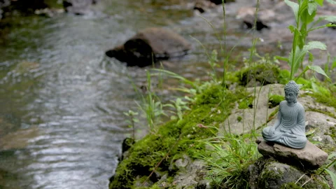 A Buddha statue was placed on a rock by the stream Stock Footage 241157447