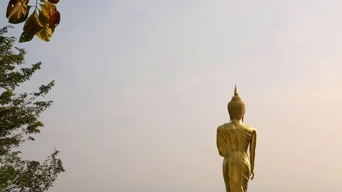 Buddha statue, Wat Phra That Khao Noi, Nan, Thailand.(Tilt down shot) Stock Footage 94600906
