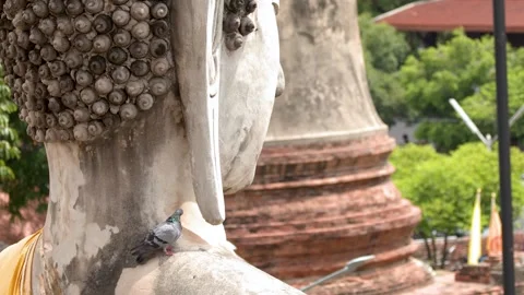 Buddha Statue at Wat Yai Chai Mongkhon in Ayutthaya 動画素材 346738111