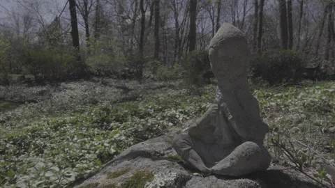 Buddha Statue in the Woods 動画素材 134729125