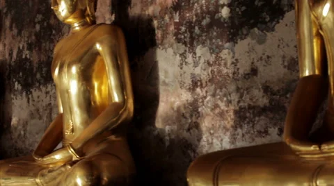 Buddha Statues Stock Footage 52998955