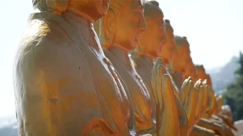 Buddha statues HD 64 Stock Footage 145431222
