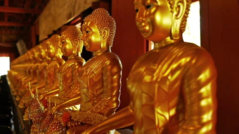 Buddha Statues in the temple Stock Footage 247494775