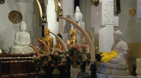Buddha statues in  the Temple of Tooth (Dalada Maligava) in Kandy, Sri Lanka. Stock Footage 64235525