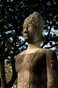 Buddha staue resting under a tree in aytthaya. Stock Photos