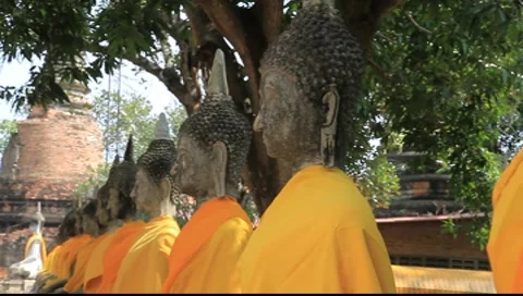 Buddha stone statues Ayutthaya Video stock 7746872