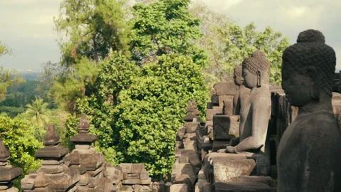 Buddha stone statues on wall of Borobudur temple Stock Footage 97561125