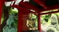 Buddha Tempel in a tropical Garden 20110422 151242 HD Footage