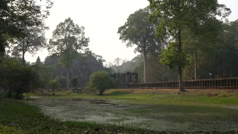 Buddha temple Stock Footage 220714995