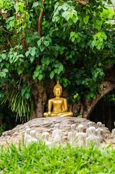 Buddha under the bo tree Stock Photos